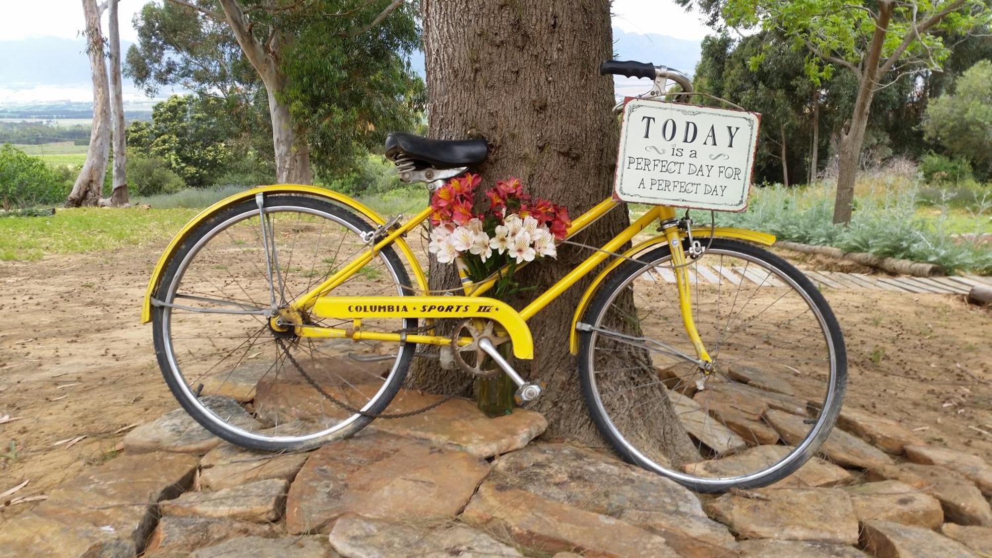 Willa Oudekloof Wine Estate Tulbagh Zewnętrze zdjęcie